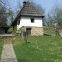 Loznica(1)